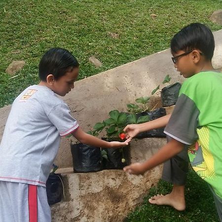 Villa Roemi Bandung Bagian luar foto